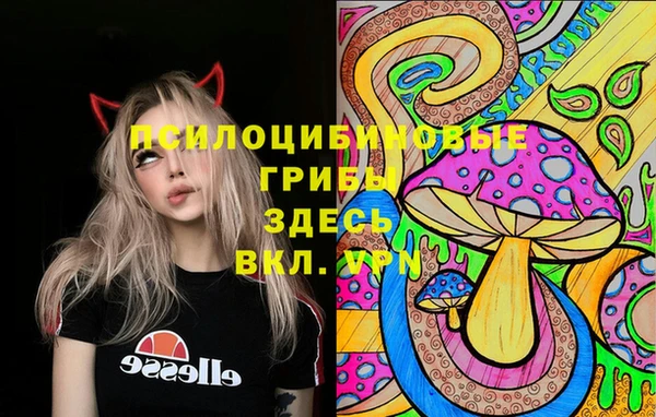 jwh Лиски