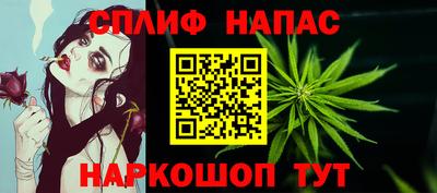 МДПВ Кунгур