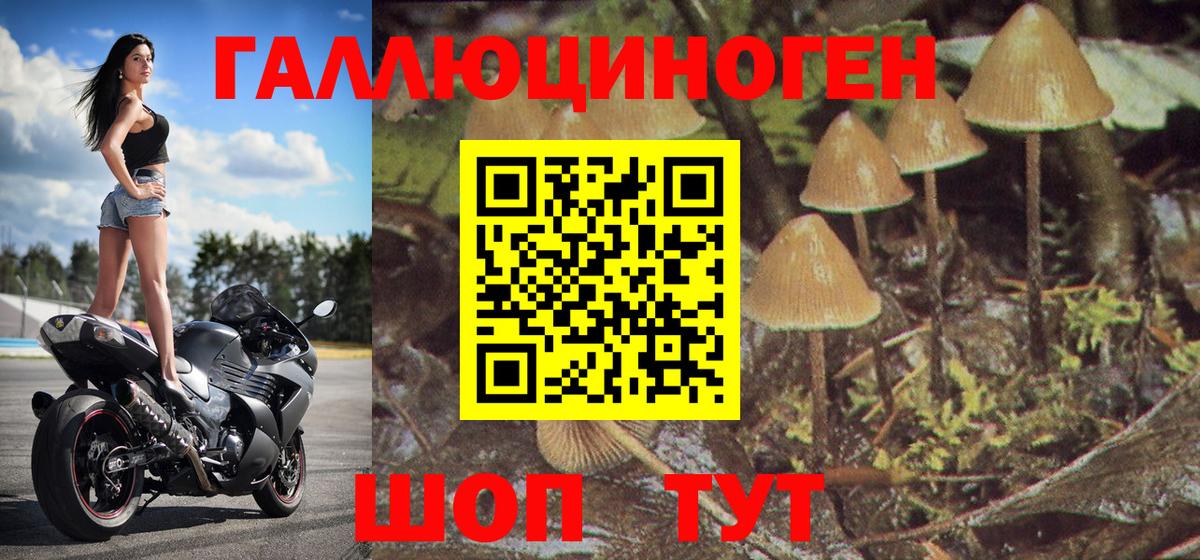 Псилоцибиновые грибы Cubensis Нерюнгри