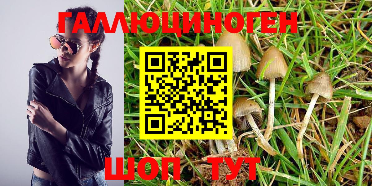 Псилоцибиновые грибы MAGIC MUSHROOMS  где можно купить   Нерюнгри  Галлюциногенные грибы GOLDEN TEACHER  Вход с VPN 